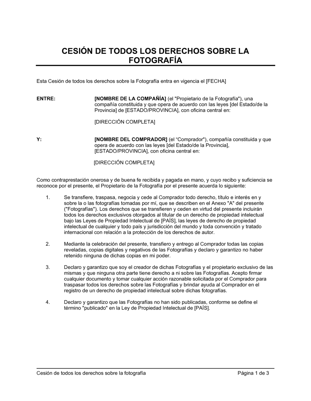 Business-in-a-Box's Cesión de todos los derechos sobre la fotografía