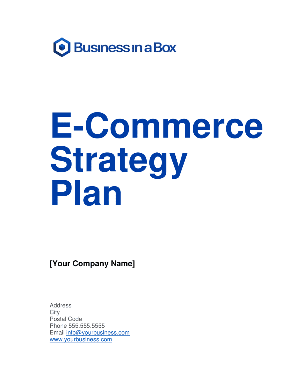 Business-in-a-Box's E-Commerce Strategy Plan Template