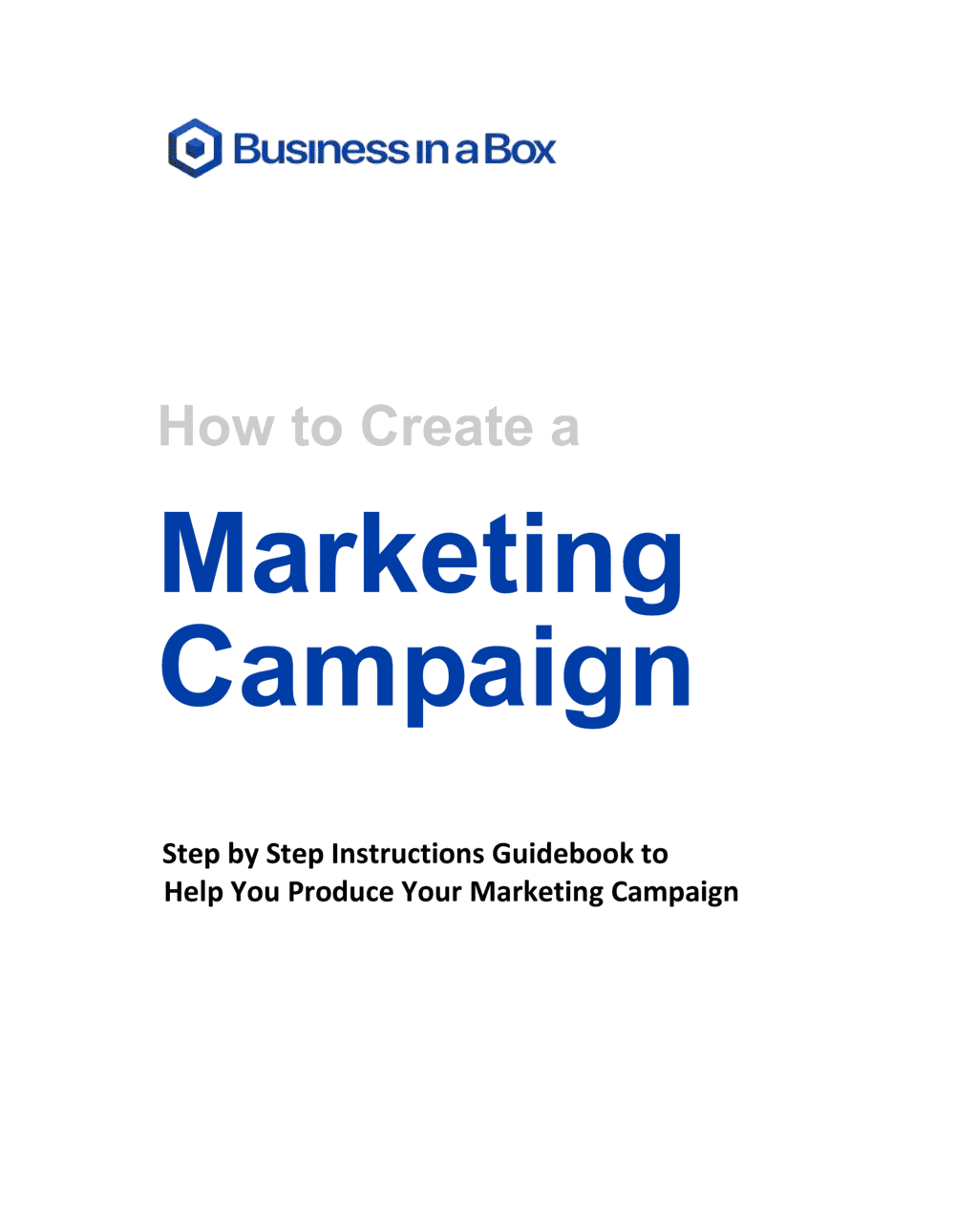 Business-in-a-Box's How To Do A Marketing Campaign Template
