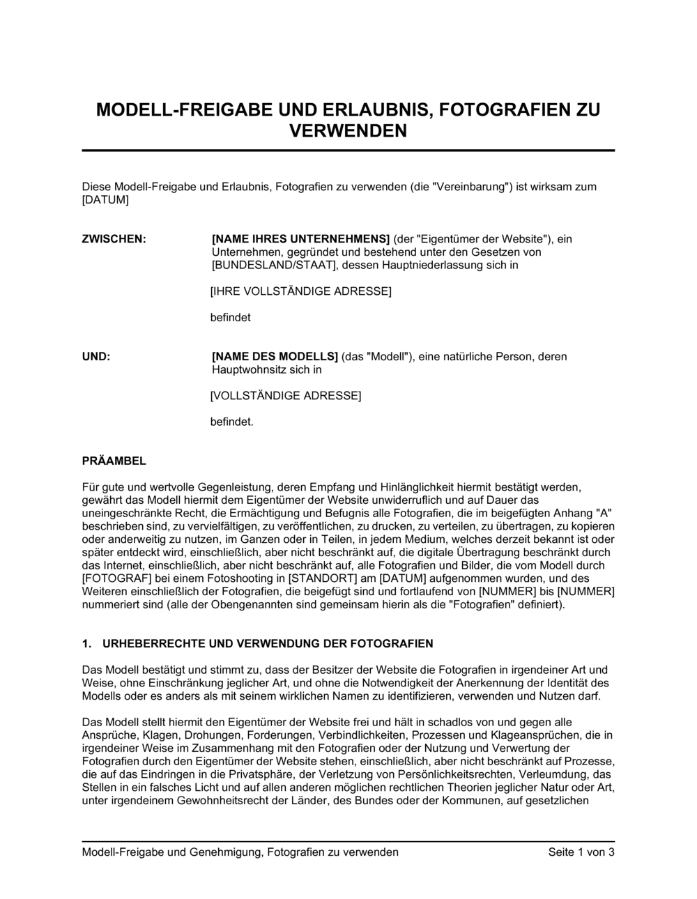 Business-in-a-Box's Model Freigabe und Genehmigung_Fotografien zu verwenden