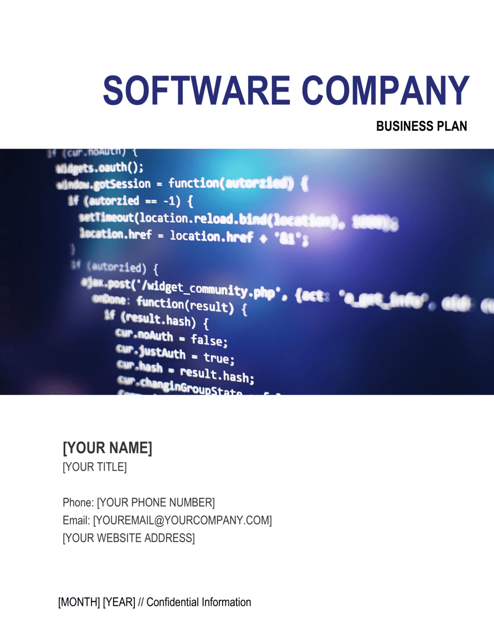 sample business plan for software company