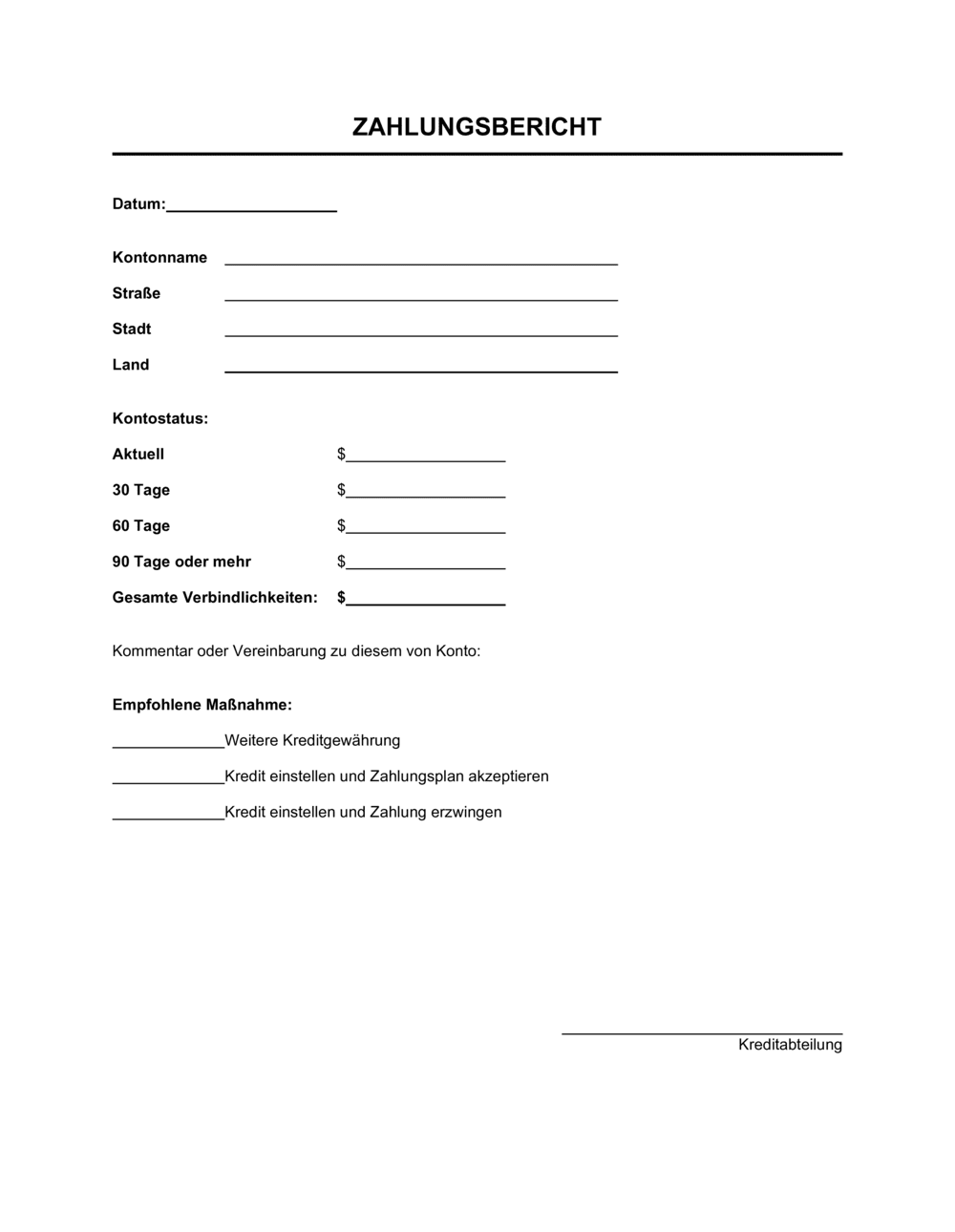 Business-in-a-Box's Zahlungsbericht