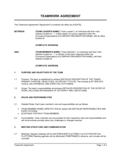 Team Work Agreement
