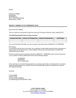 Demand to Pay Promissory Note