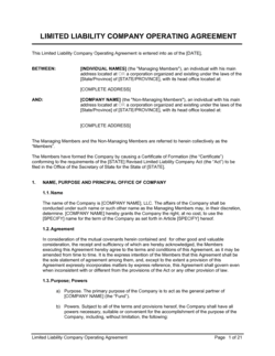 Business-in-a-Box's LLC Operating Agreement Template