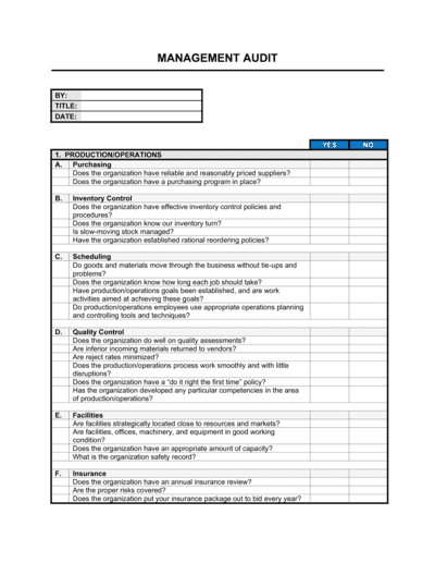 Business-in-a-Box's Management Audit Template