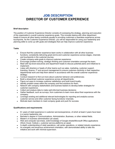 Business-in-a-Box's Director Of Customer Experience Job Description Template