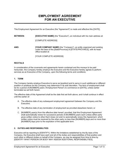 Business-in-a-Box's Employment Agreement Executive with Car Allowance Template
