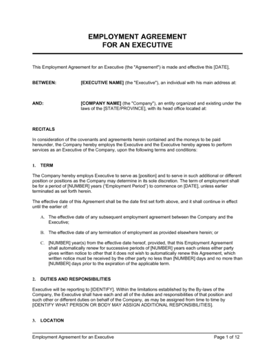 Business-in-a-Box's Employment Agreement Executive Template