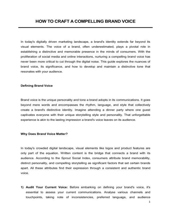Visual Voice Brand Guide.pdf Brand Voice Guide Template | BIB